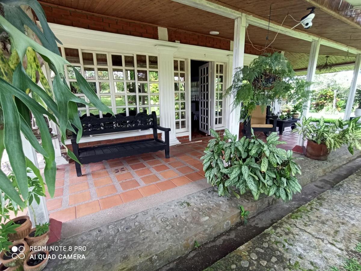 Villa Monica مونتينيغرو المظهر الخارجي الصورة