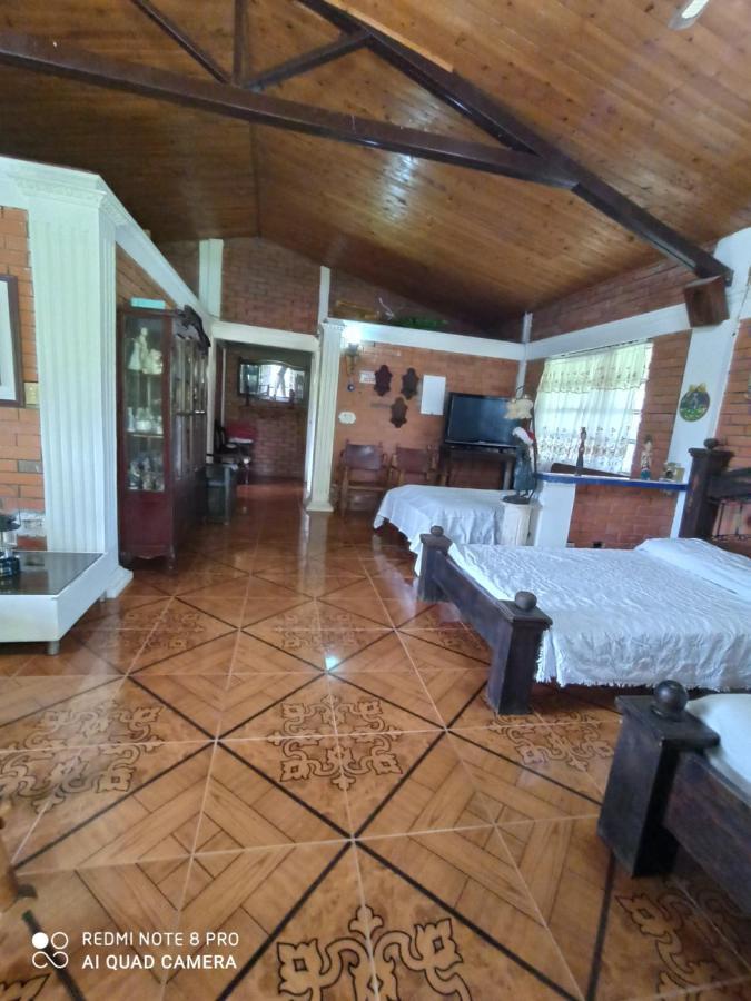 Villa Monica مونتينيغرو المظهر الخارجي الصورة