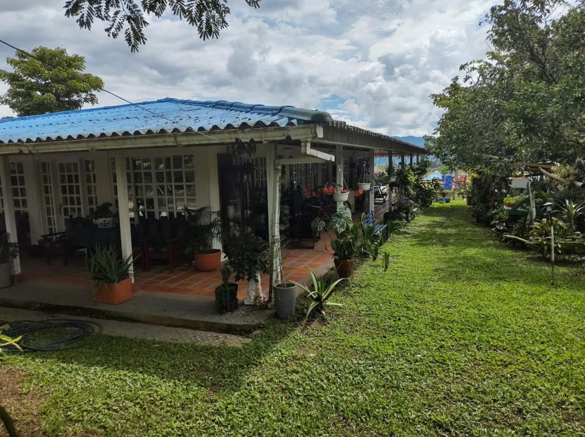 Villa Monica مونتينيغرو المظهر الخارجي الصورة
